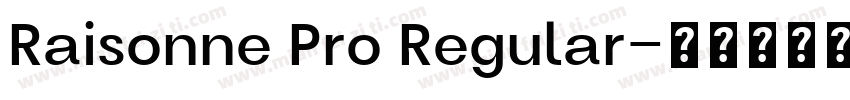 Raisonne Pro Regular字体转换